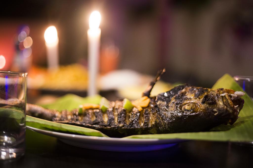 מלון Ari Heaven Thoddoo Maldives מראה חיצוני תמונה
